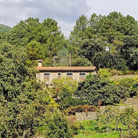 Casa Rural En Candeleda Con Piscina Y Un Maravilloso Jardin Екстер'єр фото
