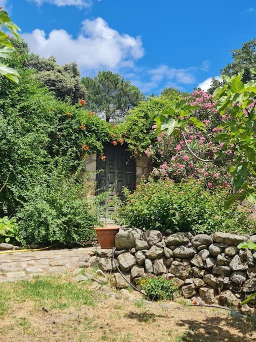 Casa Rural En Candeleda Con Piscina Y Un Maravilloso Jardin Екстер'єр фото