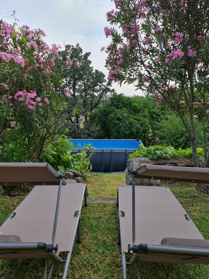 Casa Rural En Candeleda Con Piscina Y Un Maravilloso Jardin Екстер'єр фото