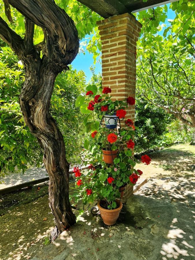 Casa Rural En Candeleda Con Piscina Y Un Maravilloso Jardin Екстер'єр фото
