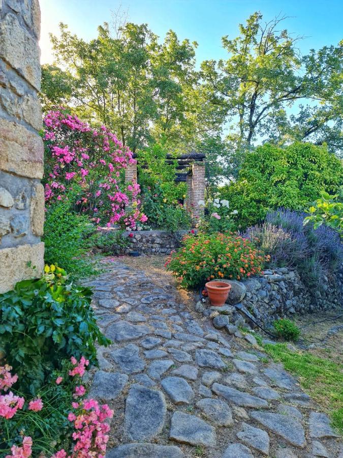 Casa Rural En Candeleda Con Piscina Y Un Maravilloso Jardin Екстер'єр фото
