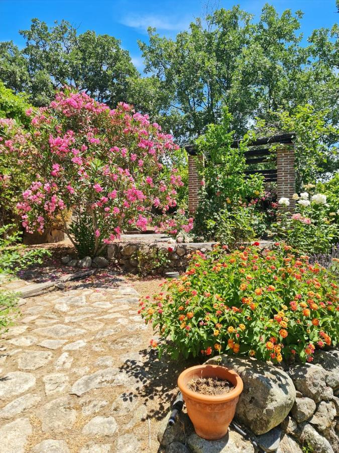 Casa Rural En Candeleda Con Piscina Y Un Maravilloso Jardin Екстер'єр фото