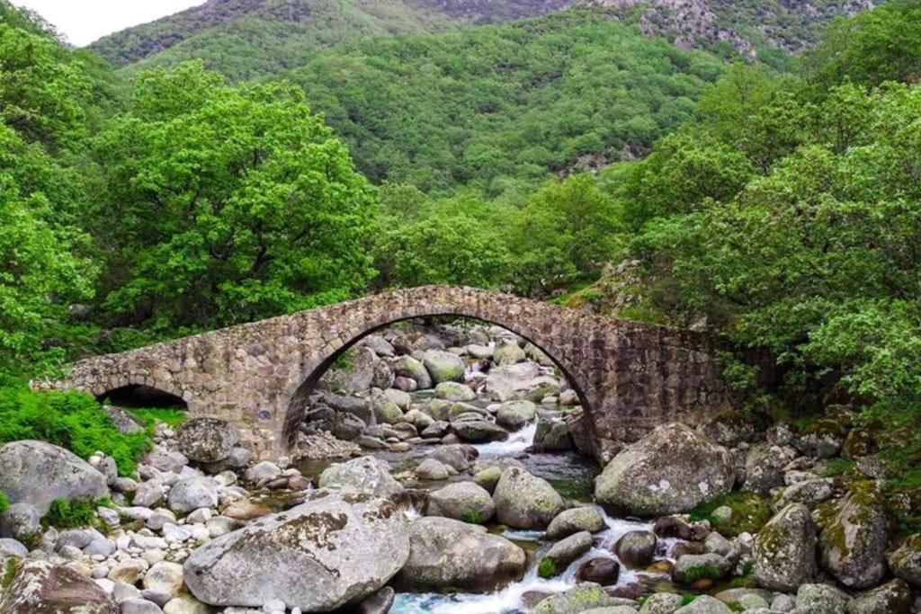 Casa Rural En Candeleda Con Piscina Y Un Maravilloso Jardin Екстер'єр фото