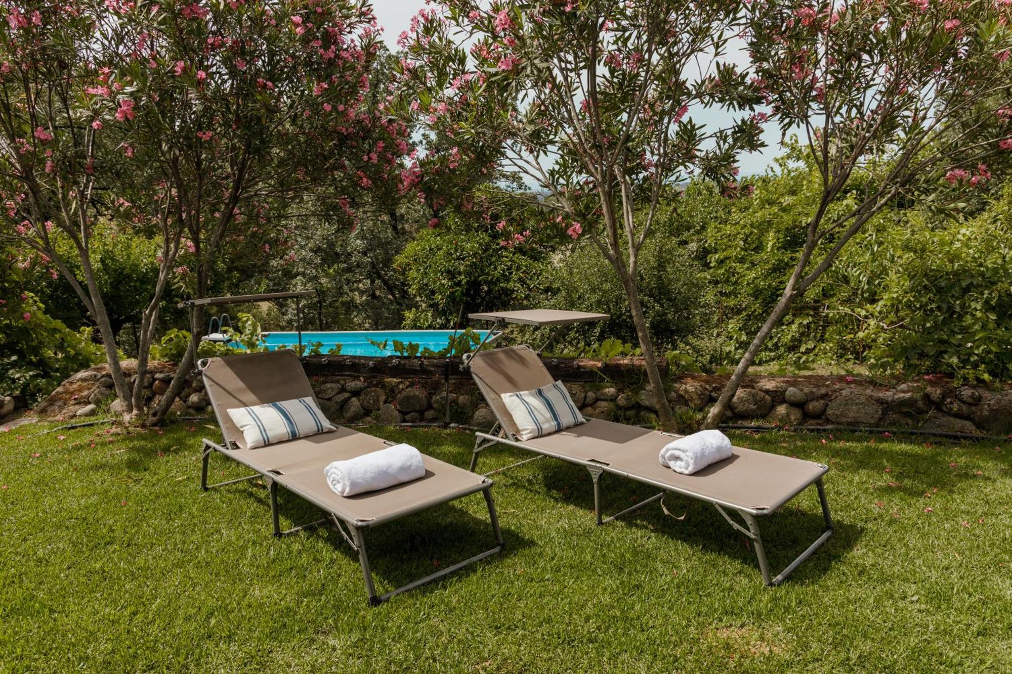 Casa Rural En Candeleda Con Piscina Y Un Maravilloso Jardin Екстер'єр фото