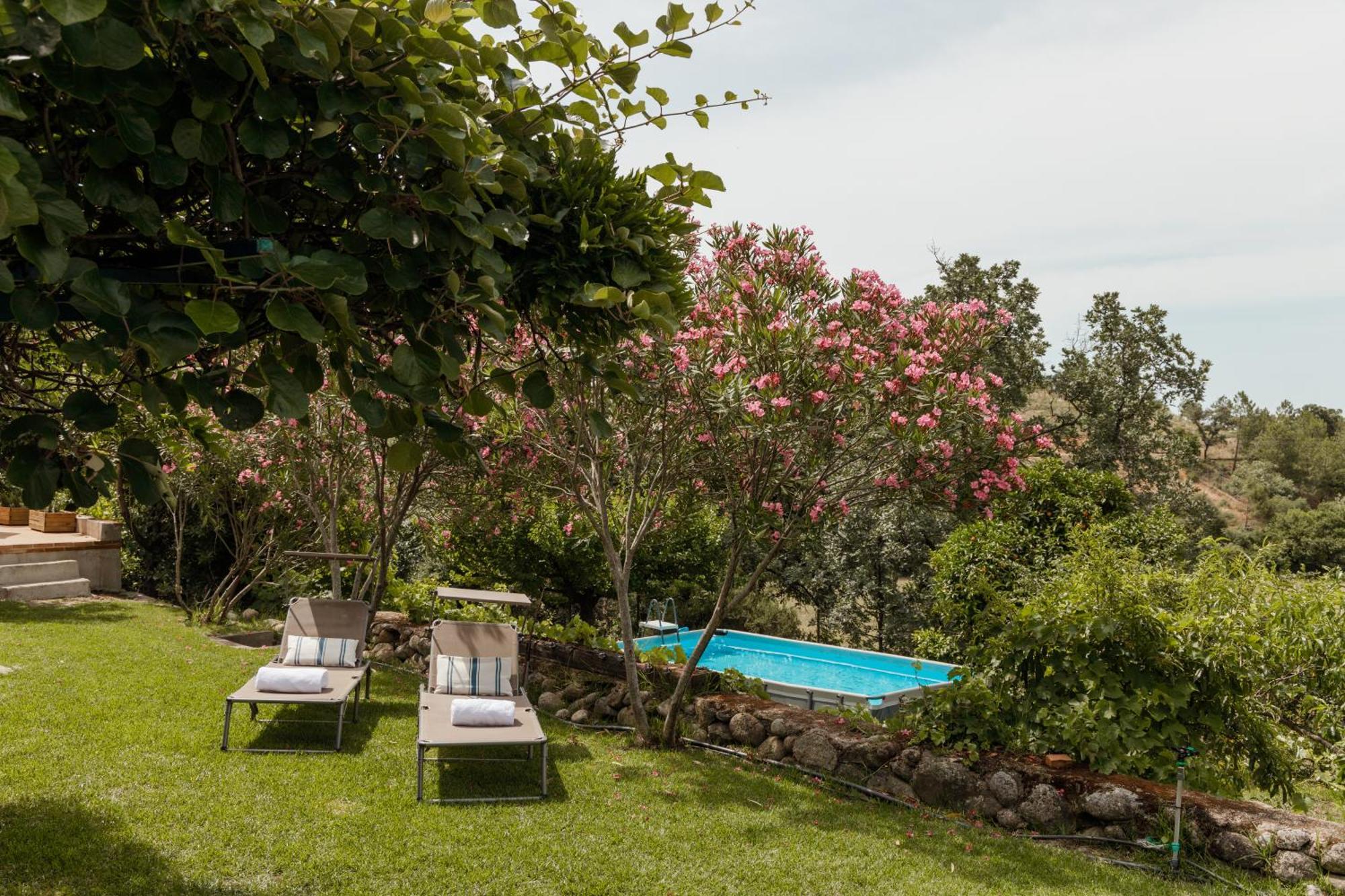 Casa Rural En Candeleda Con Piscina Y Un Maravilloso Jardin Екстер'єр фото