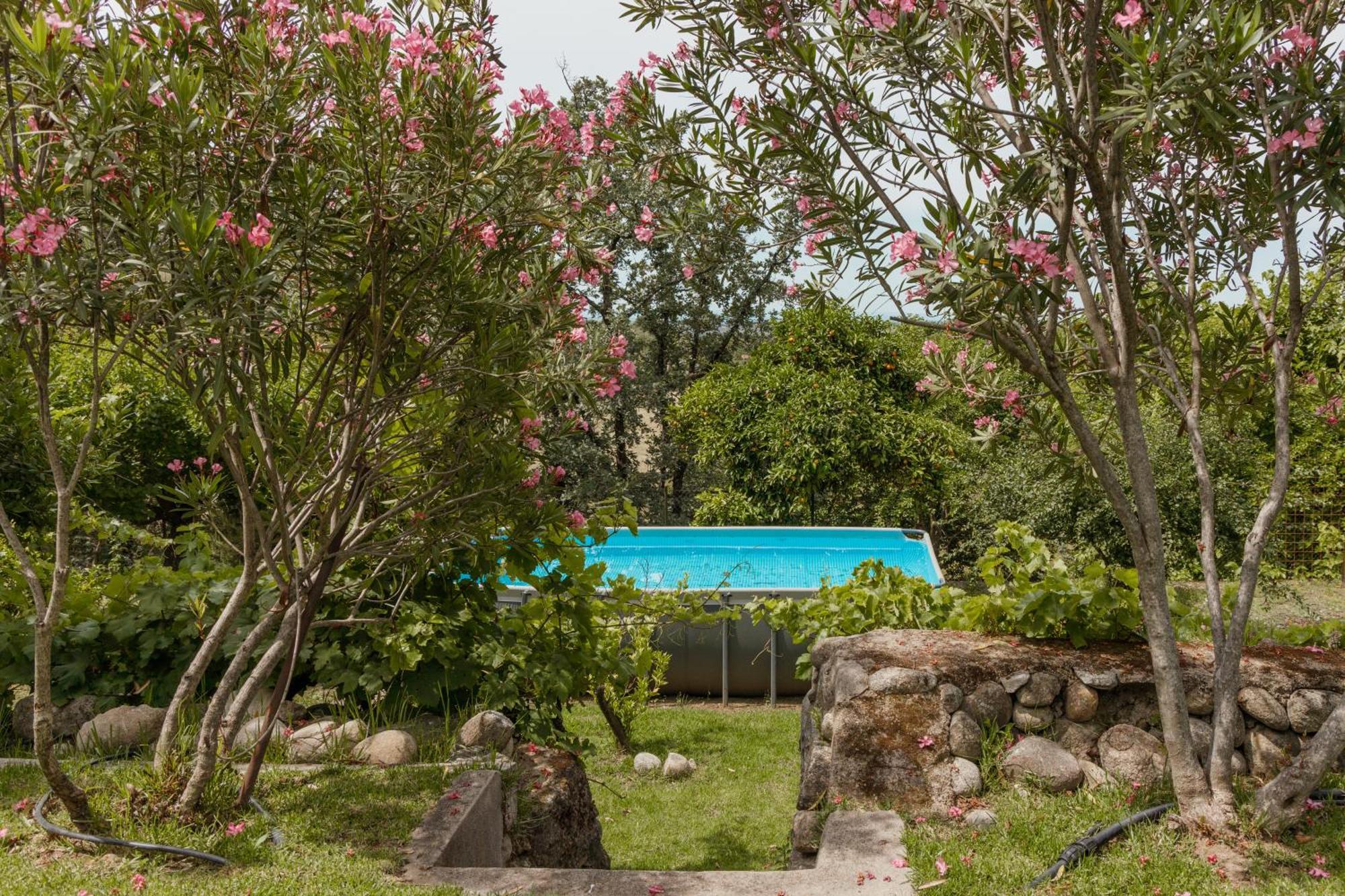 Casa Rural En Candeleda Con Piscina Y Un Maravilloso Jardin Екстер'єр фото