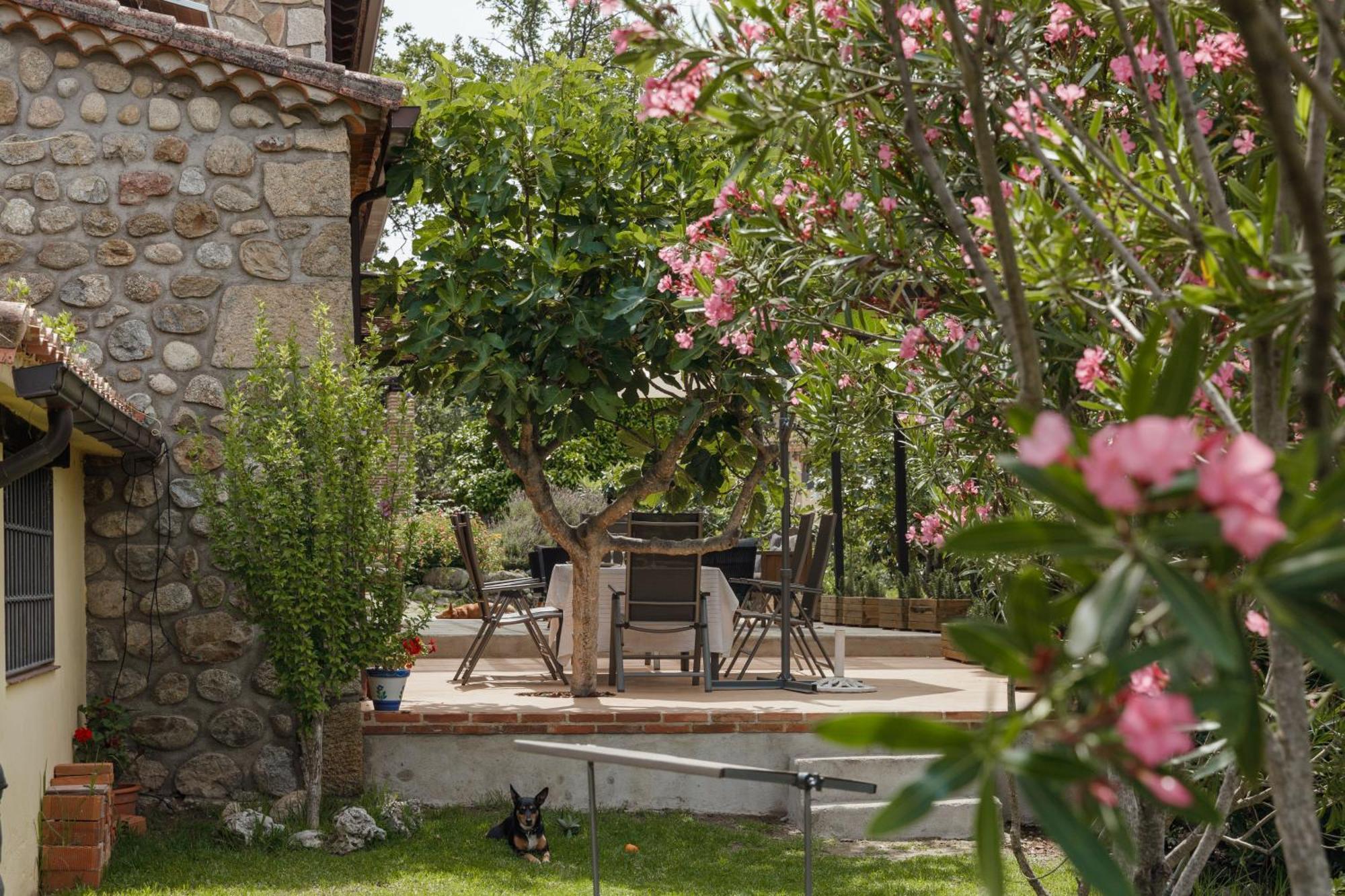 Casa Rural En Candeleda Con Piscina Y Un Maravilloso Jardin Екстер'єр фото